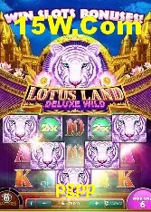 Experiência VIP pgpp