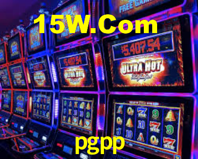 Premium Interface pgpp